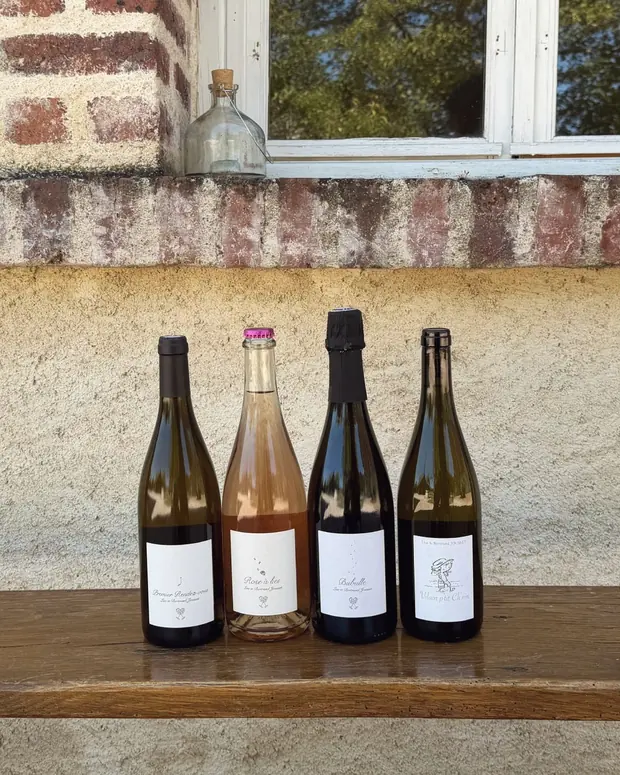 Quatre bouteilles de vin de Loire alignées sur un banc de pierre, devant une fenêtre à petits carreaux